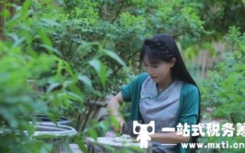 自媒体时代下，李子柒做成功了，那新上任的自媒体人能单打独斗吗