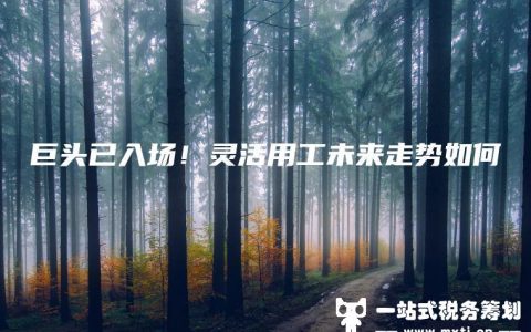 巨头已入场！灵活用工未来走势如何(巨头)