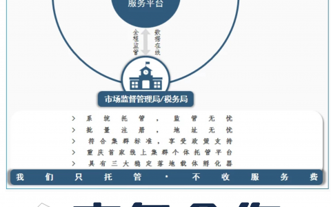 集群个体户全托管平台寻同业合作伙伴