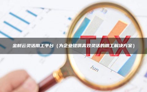 金财云灵活用工平台（为企业提供高效灵活的用工解决方案）