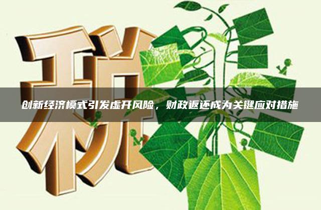 创新经济模式引发虚开风险，财政返还成为关键应对措施