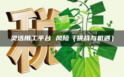 灵活用工平台 风险（挑战与机遇）
