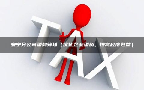 安宁分公司税务筹划（优化企业税负，提高经济效益）