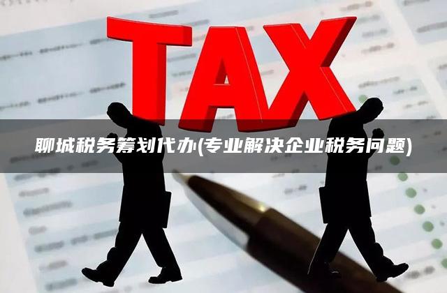 聊城税务筹划代办(专业解决企业税务问题)