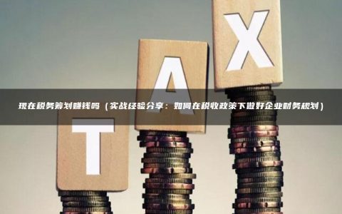 现在税务筹划赚钱吗（实战经验分享：如何在税收政策下做好企业财务规划）
