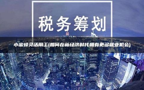 小蜜蜂灵活用工(如何在新经济时代拥有更多就业机会)