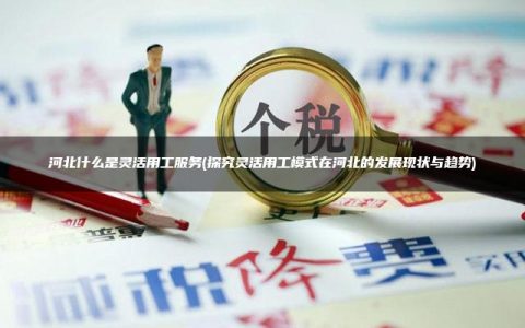 河北什么是灵活用工服务(探究灵活用工模式在河北的发展现状与趋势)