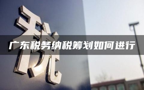 广东税务纳税筹划如何进行