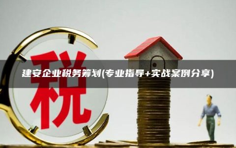 建安企业税务筹划(专业指导+实战案例分享)