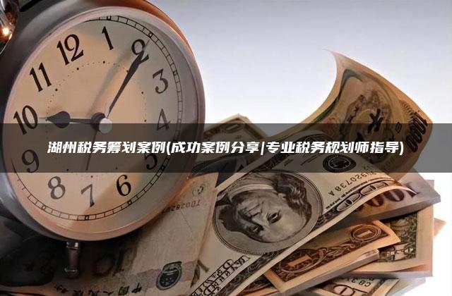 湖州税务筹划案例(成功案例分享|专业税务规划师指导)