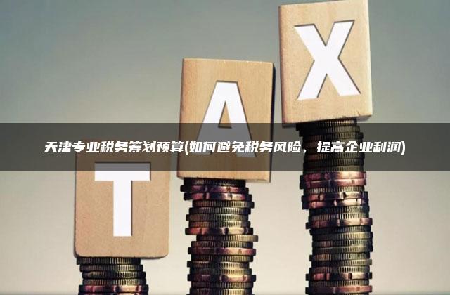 天津专业税务筹划预算(如何避免税务风险，提高企业利润)