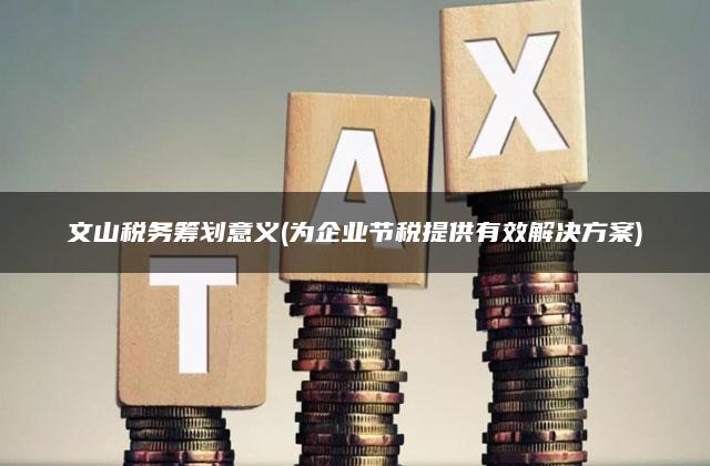文山税务筹划意义(为企业节税提供有效解决方案)