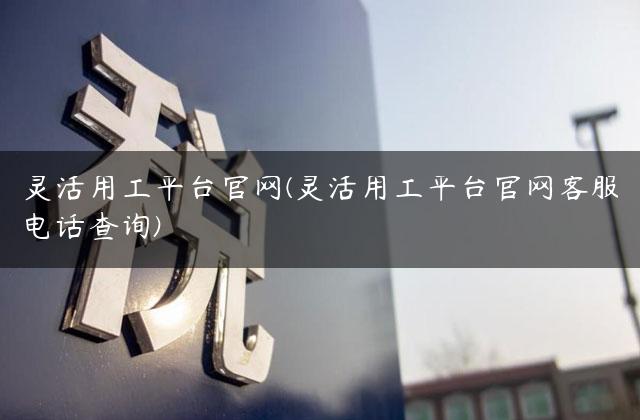 灵活用工平台官网(灵活用工平台官网客服电话查询)