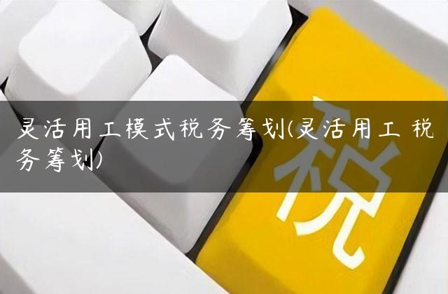 灵活用工模式税务筹划(灵活用工 税务筹划)