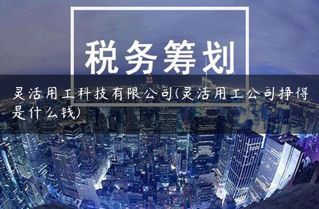灵活用工科技有限公司(灵活用工公司挣得是什么钱)