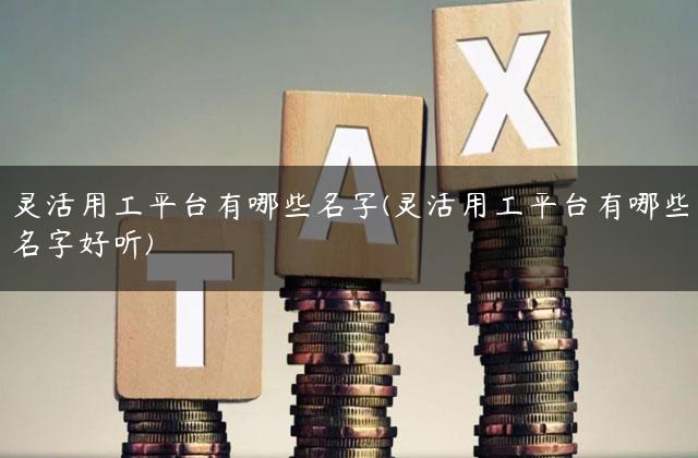 灵活用工平台有哪些名字(灵活用工平台有哪些名字好听)