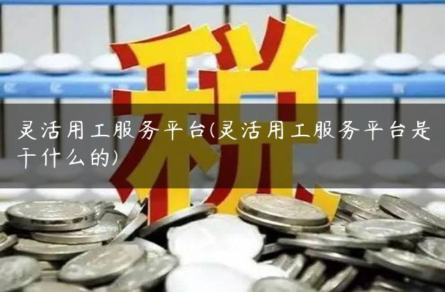 灵活用工服务平台(灵活用工服务平台是干什么的)