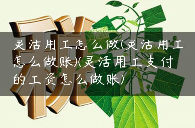 灵活用工怎么做(灵活用工怎么做账)(灵活用工支付的工资怎么做账)